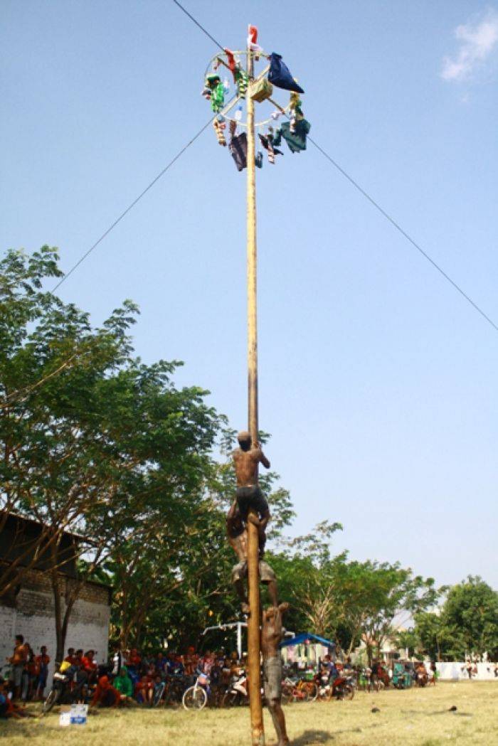 Lomba Pinjat Pinang Perebutkan Hadiah Rp 2-5 Juta