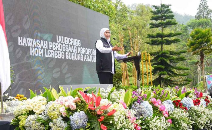Gubernur Khofifah Launching Kawasan Pedesaan Agroforestri Kopi Lereng Gunung Arjuno