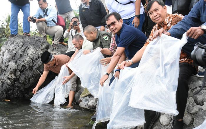 Semen Padang Lepas 7.000 Ekor Ikan Bilih di Danau Singkarak