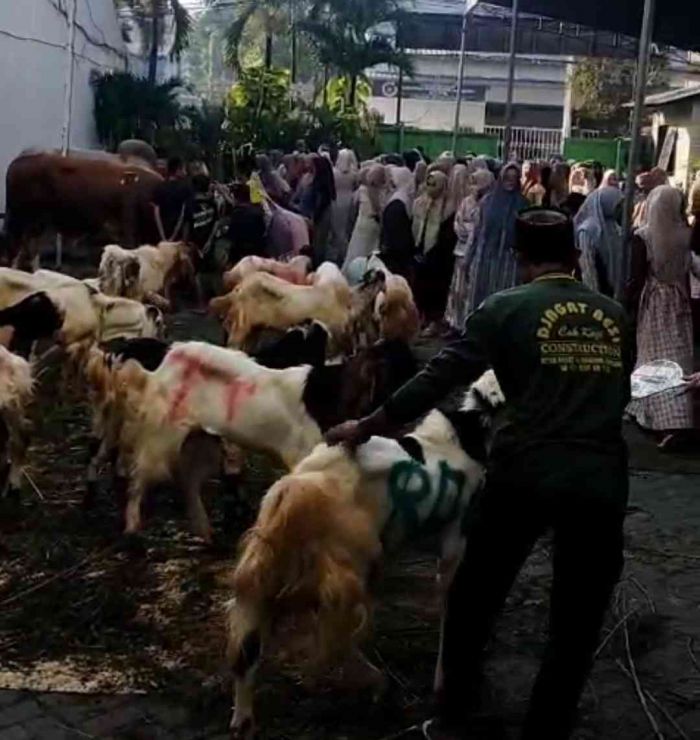 PP Amanatul Ummah Surabaya Sembelih Enam Sapi dan 27 Kambing Kurban PP Amanatul Ummah Surabaya Sembelih Enam Sapi dan 27 Kambing Kurban