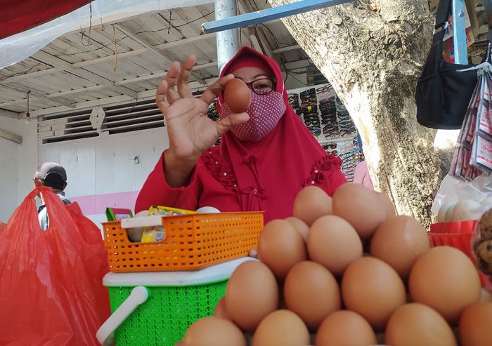 Jelang Maulid Nabi, Harga Telur Ayam Ras Merangkak Naik di Wilayah Ini