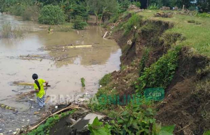 Tujuh Titik Tanggul Sungai di Kanor Bojonegoro Rawan Jebol