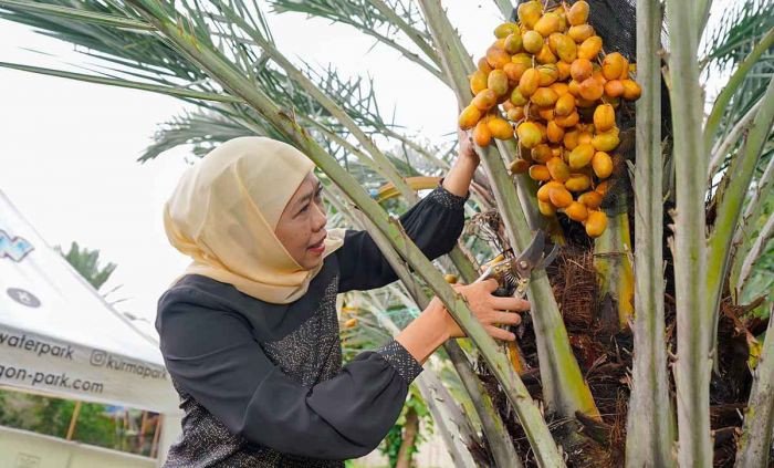 Khofifah Sebut Wisata Jawa Timur Kaya dan Beragam