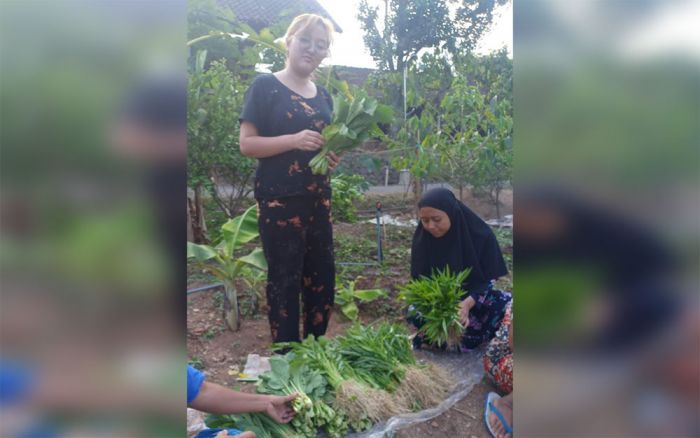 Ubah Lahan Kosong Jadi Tempat Bertanam, Anggota KWT Putri Wilis Laksanakan P2L
