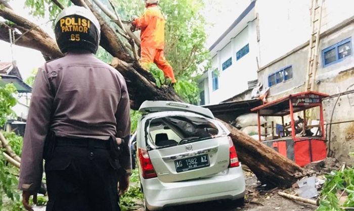 Hujan dan Angin Kencang di Kediri Tewaskan 1 Orang dan 3 Mobil Tertimpa Pohon