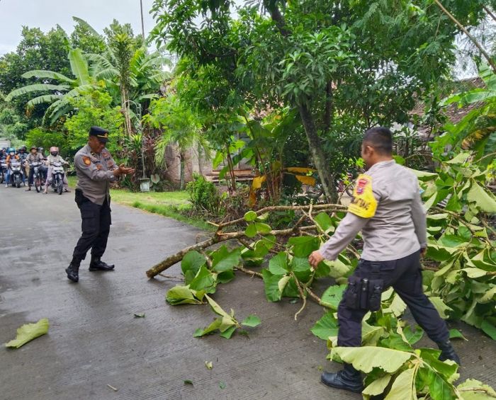 Antisipasi Tumbang di Musim Hujan Polsek Widodaren Ngawi dan Relawan Lakukan Pemotongan Pohon