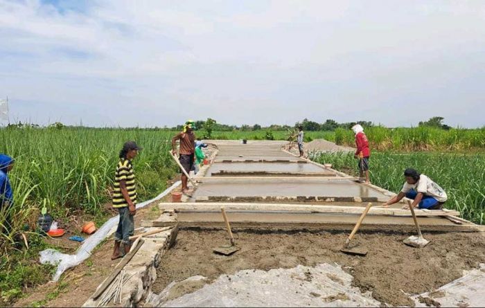 Dorong Perekonomian, Disperkim Jombang Bangun Jalan Penghubung Antar Desa