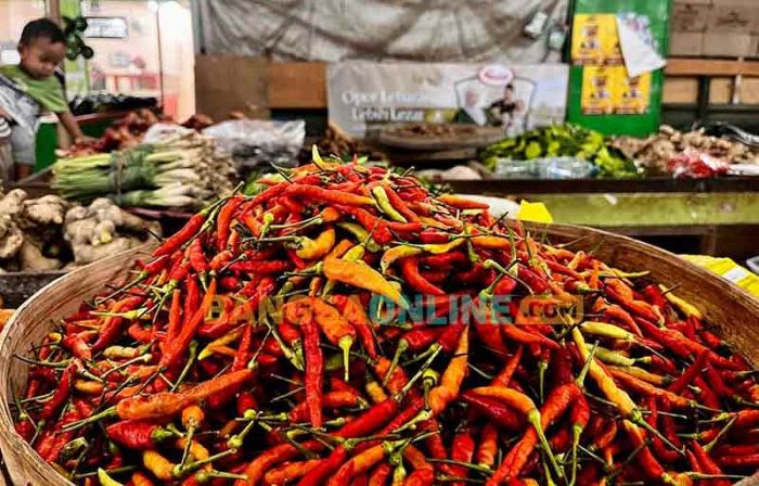 Fluktuasi Harga Sembako Jatim 31 Maret 2026: Cabai Rawit Melonjak Lagi, Daging Ayam Merosot Tipis