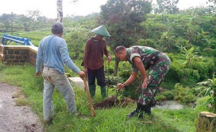 Babinsa Bersama Warga Tanam Pohon Ketapang Mutiara di Ngawi