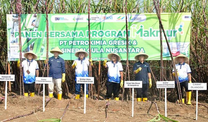 Petrokimia Gresik dan SGN Tingkatkan Produktivitas Tebu di Mojokerto