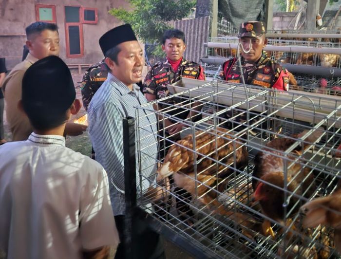 Ketua Umum Ansor Kunjungi Peternakan Ayam Kadernya di Jombang, Dorong Usaha Gotong Royong Ketua Umum Ansor Kunjungi Peternakan Ayam Kadernya di Jombang, Dorong Usaha Gotong Royong