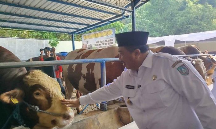 Pemkab Jombang Pastikan Hewan Kurban di Sejumlah Peternak Aman dan Sehat