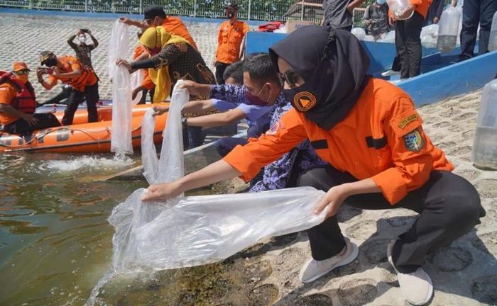 ​Wali Kota Madiun Tebar 136.000 Benih Ikan Lokal di Embung Pilangbango