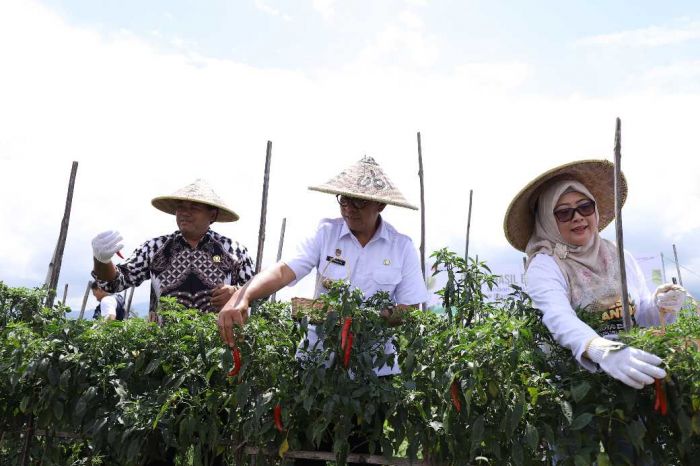 Pemkot Batu Apresiasi Program PT PELNI: Pemberdayaan Petani di Desa Pandanrejo
