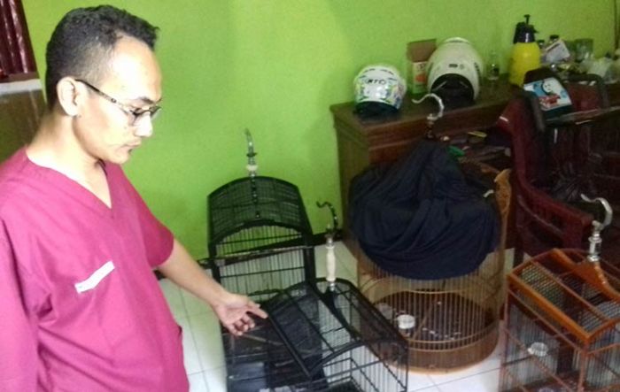 ​Rumah Anak Mantan Ketua PPP Kota Probolinggo Dibobol Maling, Empat Burung Hilang