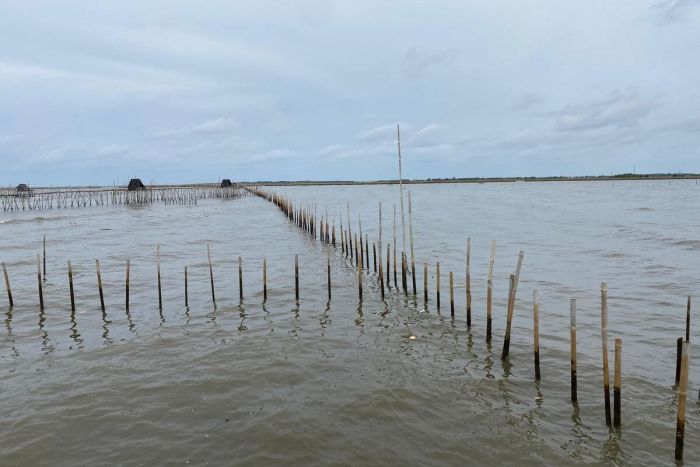 Keganjilan Pagar Laut Misterius