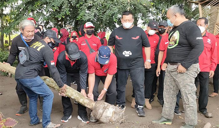 Gandeng Relawan, PDIP Kabupaten Kediri Gelar Aksi Tanam Pohon
