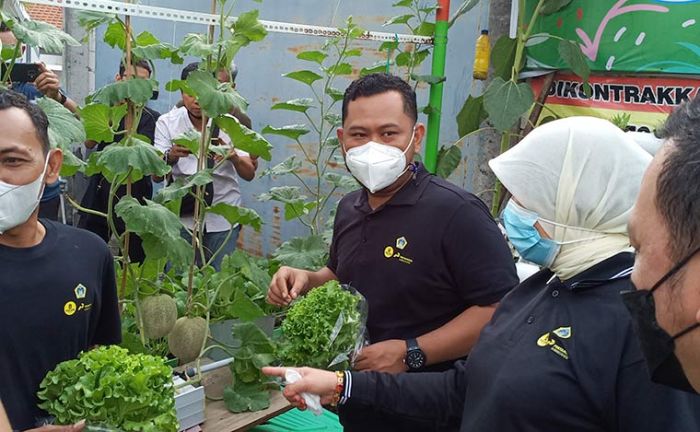 Manfaatkan Lahan Sempit Bertanam Hidroponik, Bupati Gus Yani Apresiasi Kampung Kreasi Sidokumpul