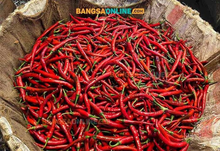 Daftar Harga Sembako Jawa Timur Terbaru Hari Ini: Cabai Fluktuatif, Ayam Mulai Kondusif