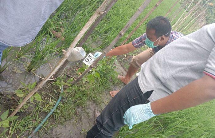 ​Kembali Makan Korban, 4 Nyawa Melayang Akibat Jebakan Tikus Listrik di Ngawi Desember Ini