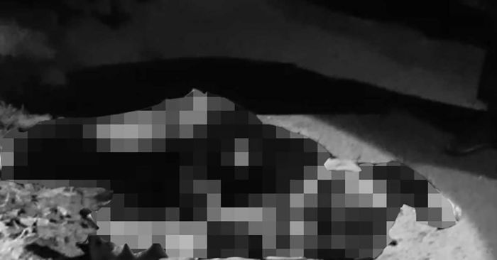 Perempuan Paruh Baya di Bangkalan Tewas, Anak Tiri Jadi Tersangka