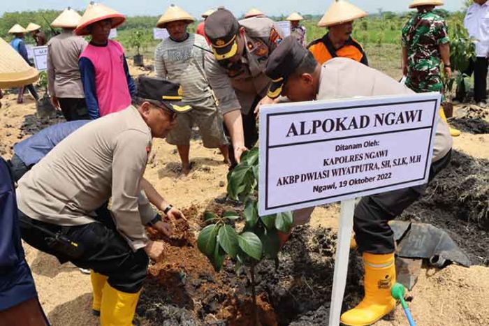 Dukung Ketahanan Pangan, Polres Ngawi Bersama Perhutani Tanam Pohon Alpukat di Hutan Begal