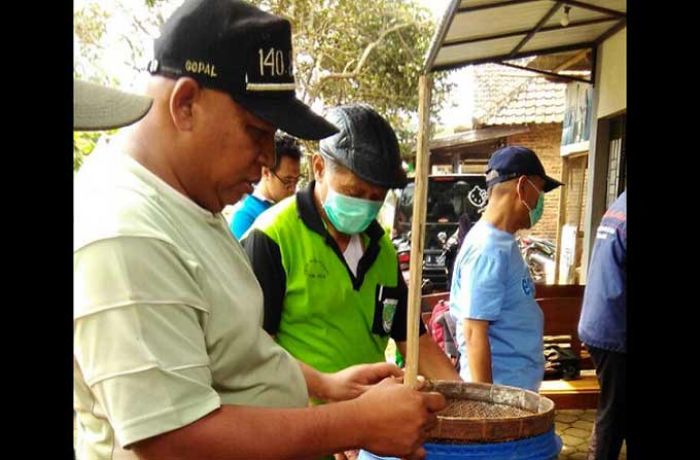 Pasuruan Fokus Garap Potensi Sapi Perah untuk Majukan Perekonomian Peternak