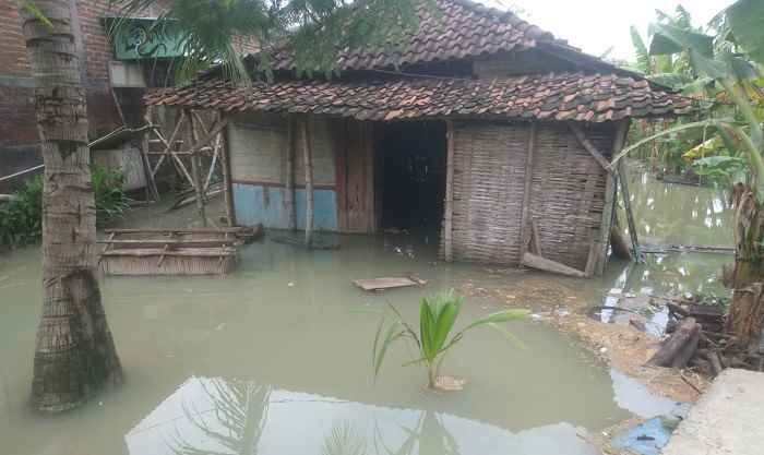 Kali Lamong Kembali Meluap, 6 Desa di Balongpanggang Gresik Terendam