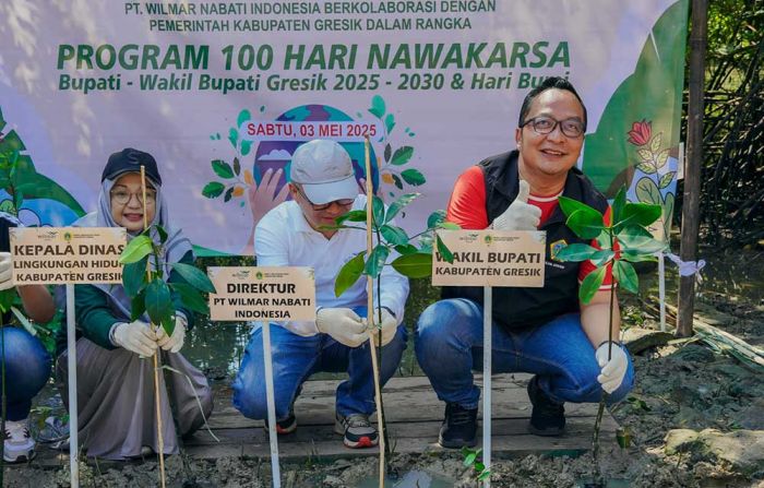 Pemkab Gresik Gandeng PT Wilmar Nabati Tanam 1.000 Mangrove di Karangkiring Pemkab Gresik Gandeng PT Wilmar Nabati Tanam 1.000 Mangrove di Karangkiring