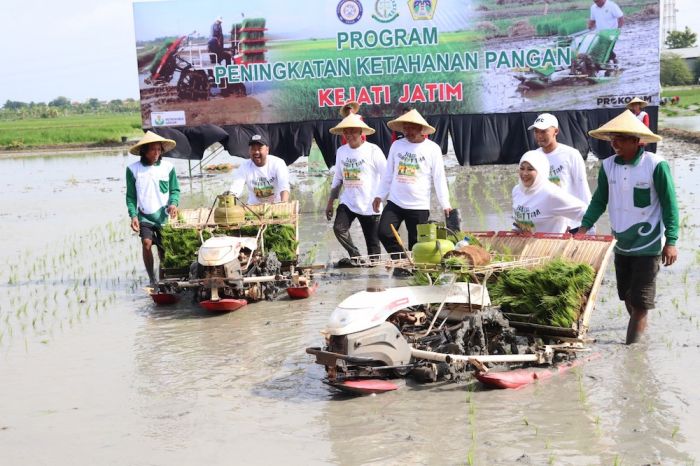 Lewat Program Jaksa Sahabat Tani, Pemkab Gresik, Kejati Jatim dan Petrokimia Dukung Ketahanan Pangan