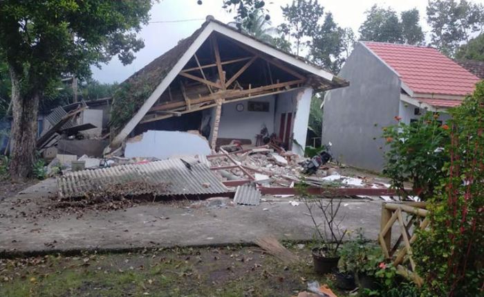 Imbas Angin Kencang dan Hujan Deras di Wilayah Bangil, Belasan Rumah Rusak dan Pohon Tumbang 