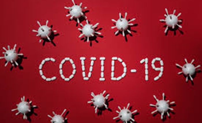 ​Update Covid-19 di Gresik, Positif Tambah 29 dan Sembuh 31 Orang