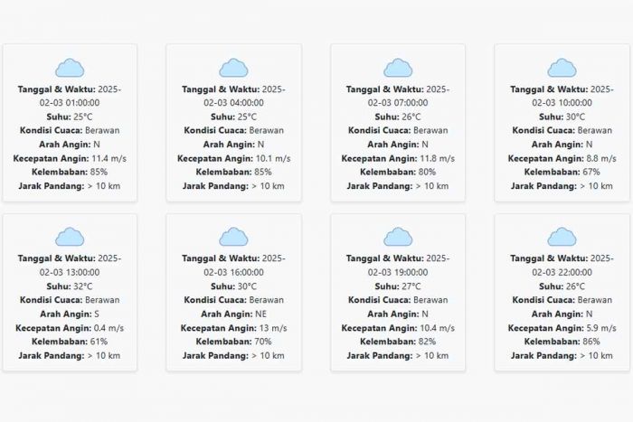 Prakiraan Cuaca Jember Hari ini Senin, 3 Februari 2025: Suhu 25-32 °C, Kecepatan Angin 8.97 m/s