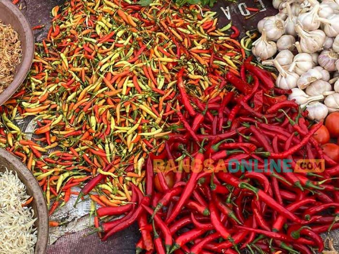 Cabai Melorot, Simak Fluktuasi Harga Sembako Surabaya Hari Ini Minggu 14 Desember 2025