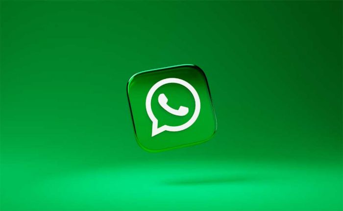 Warnai Ruang Obrolan, WhatsApp Hadirkan Fitur ini