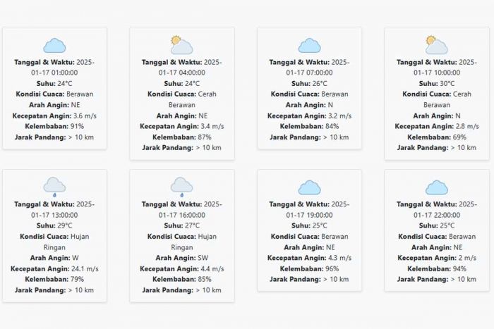 Cuaca Jember Hari ini Jumat, 17 Januari 2025: Siang hingga Sore Hujan Ringan