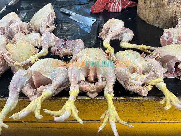 Harga Daging Ayam, Cabai hingga Bawang Merah di Surabaya Hari Ini Turun