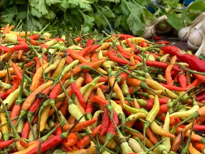 Emak-emak di Jatim Siap Menjerit, Harga Cabe Sekilo Tembus Segini