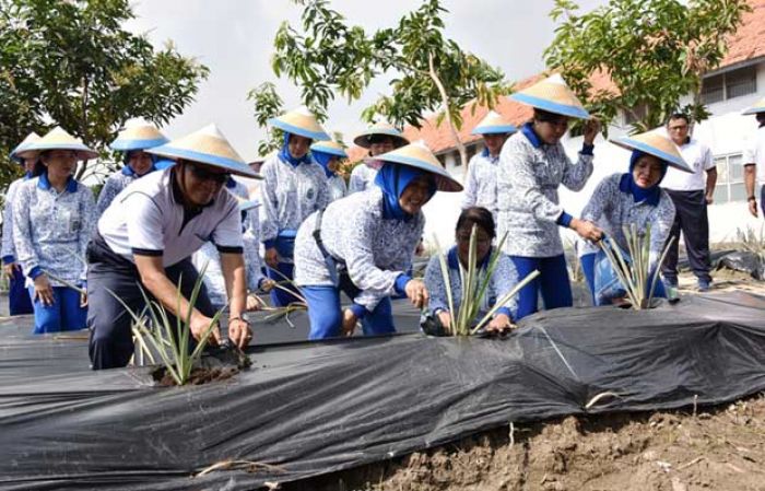 Manfaatkan Lahan Kosong, Kolatarmatim Laksanakan Penanaman TNCT dan Panen Lele