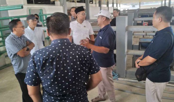 Sidak RPH Tambak Osowilangun, Dewan Soroti Kandang dan Infrastruktur Sidak RPH Tambak Osowilangun, Dewan Soroti Kandang dan Infrastruktur