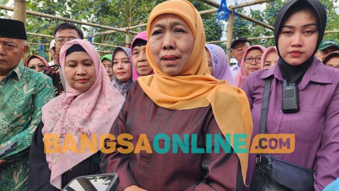 Jelang Iduladha 2025, Gubernur Jatim Sebut Tak Ada Ternak Terpapar PMK Jelang Iduladha 2025, Gubernur Jatim Sebut Tak Ada Ternak Terpapar PMK