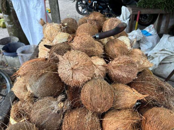 Harga Kelapa di Sumenep Ikut Meroket, Penjual dan Konsumen Menjerit Harga Kelapa di Sumenep Ikut Meroket, Penjual dan Konsumen Menjerit