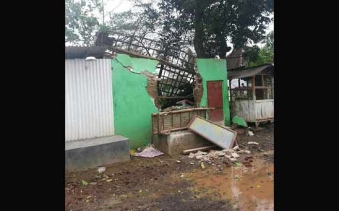 Angin Kencang Landa Kota Pasuruan, Pohon Bertumbangan Angin Kencang Landa Kota Pasuruan, Pohon Bertumbangan