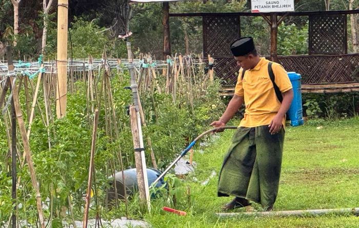 Ubah Kemustahilan Jadi Keniscayaan, PHE WMO Kembali Raih Proper Emas 2024