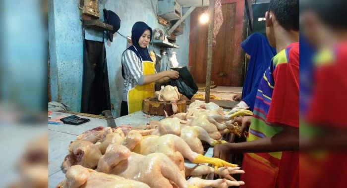 Pasca Pilpres, Harga Daging Ayam di Pasar Tradisional Naik Pasca Pilpres, Harga Daging Ayam di Pasar Tradisional Naik