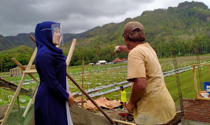 Kampanye Paslon 02, Fatihatur Rohmah Blusukan Temui Pekerja Bangunan dan Petani di Desa Pakis