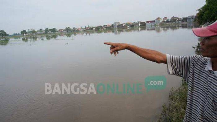 Banjir Terjang Jombang lagi, Ratusan Hektar Sawah Terendam