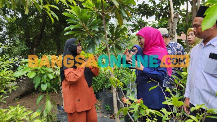 Tembus Pasar LN dan Serap Tenaga Kerja Lokal, Khofifah Apresiasi Agrobisnis Bibit Buah di Nganjuk