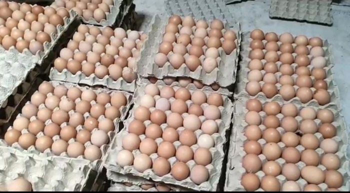 Jelang Akhir Tahun, Harga Telur di Kota Blitar Tembus Rp 25 Ribu per Kg