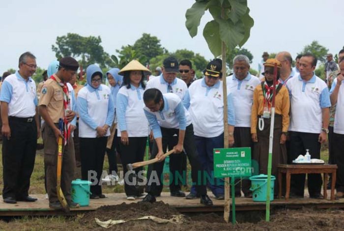 Pecahkan Rekor Dunia, Jokowi Peringati Hari Menanam Pohon Indonesia di Tuban